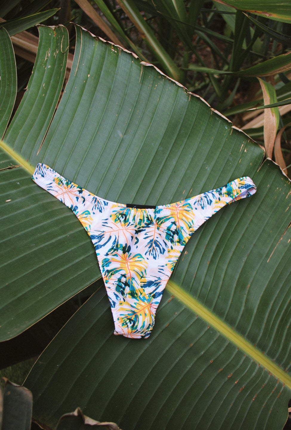 PALMS BIKINI BOTTOM